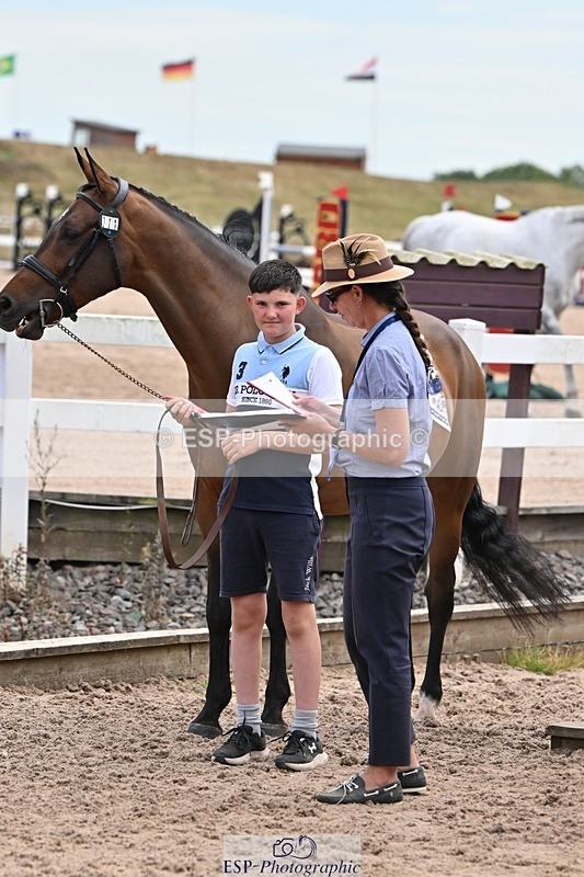 250716-142840-01107 - Trot Up 1.30 to 2.30