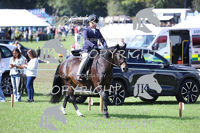 APP_3520 - Class 12 M&M ridden