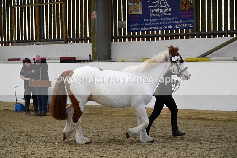 WJ5_5075 - Class 7 In hand coloured / odd coloured