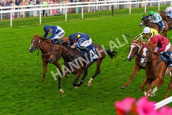 240823-Race 5-Sea Theme-0691 - Race 5 4.10pm British EBF & Sir Henry Cecil Galtres Stakes