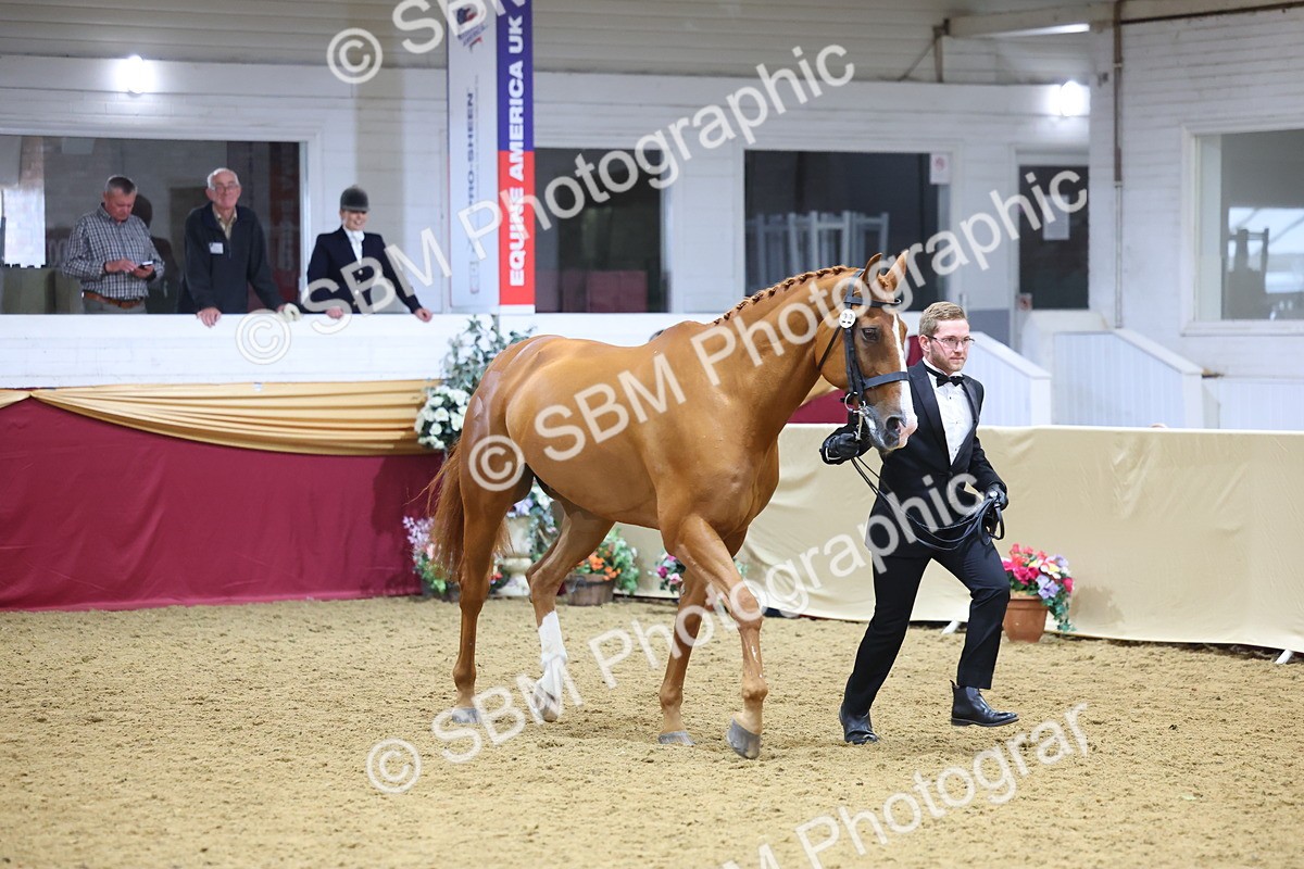 SBM_20936 - Class 902 - Supreme Final IH Veteran