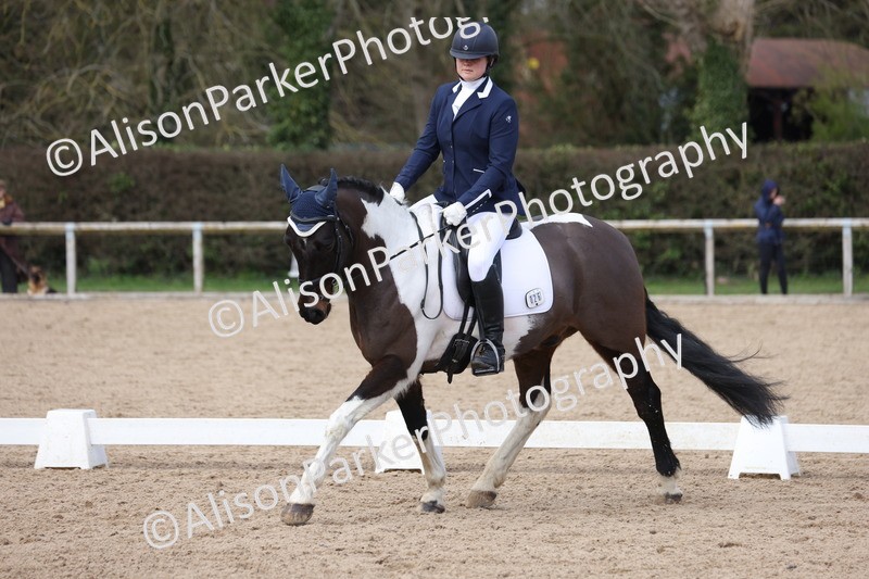 20260301-0666 - Class 4 - Novice 5