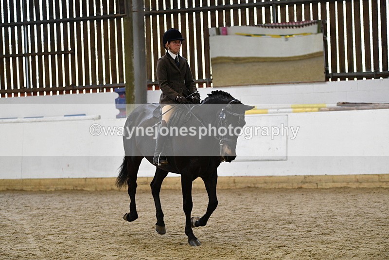 WJ5_6208 - Class 9 Ridden Veteran