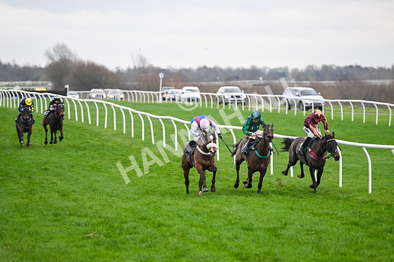 171224-Race 5-Wrappedinrubies-3410 - Race 5