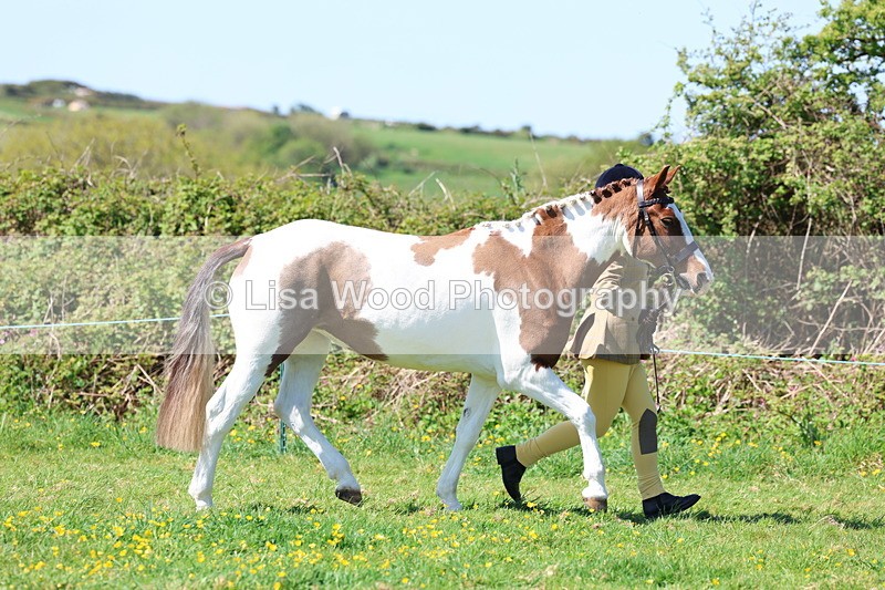 3E7A9917 - Class 17: Young Handler