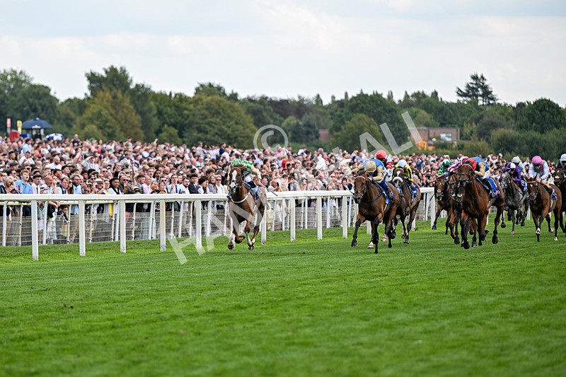 220826-Race 4-Daiquiri Bay-0399 - Race 4 15.35pm Sky Bet Ebor Handicap