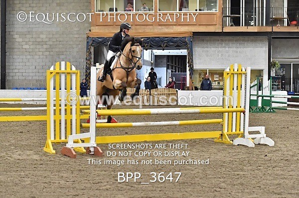 BPP_3647 - FRI CLASS 21 BR NOVICE/90CM