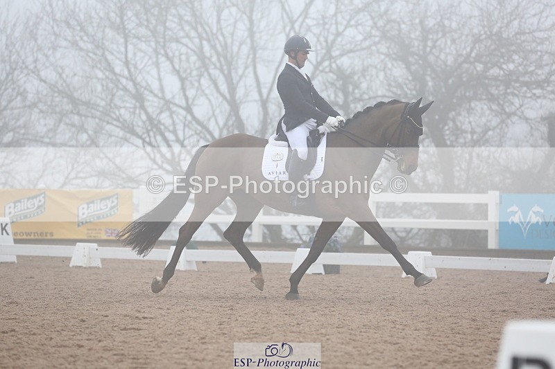 240217A-140111-03981 - 172-Jezz.Palmer-Honey.D'Or