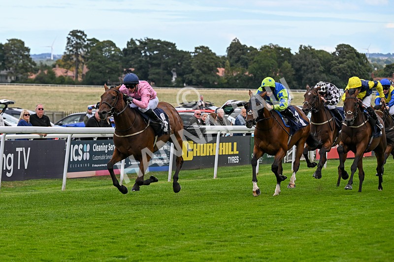 160926-Race 1-Austrian Theory-9150 - Race 1 2.08pm Season Finale Is Next Tuesday Selling Handicap
