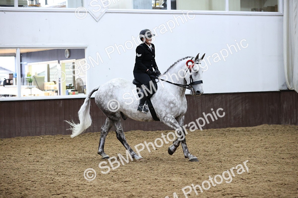 SBM_6321 - Class 17 - IDHSG Challenge Pure Breed