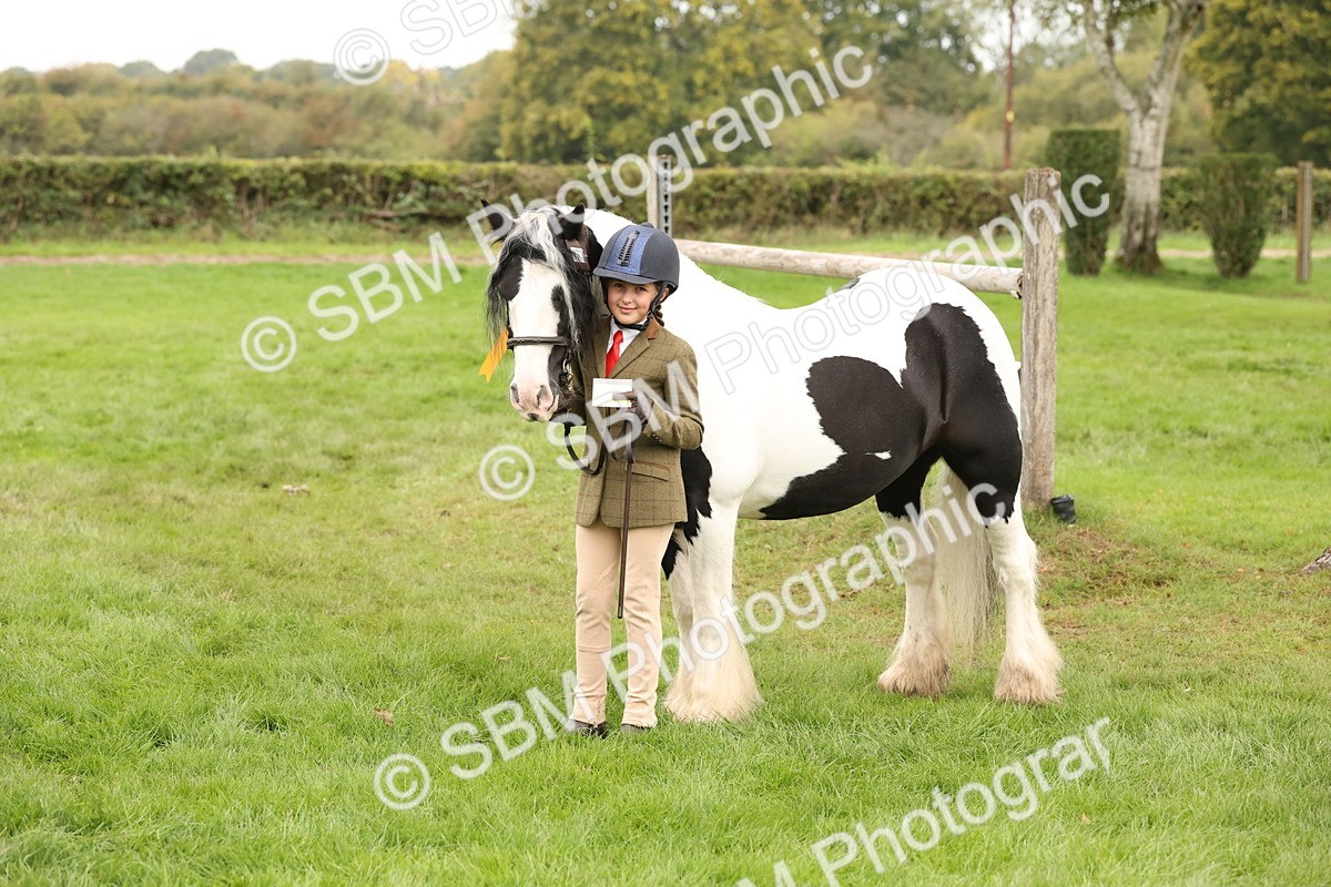 SBM_59365 - S57 - Traditional Cob In Hand