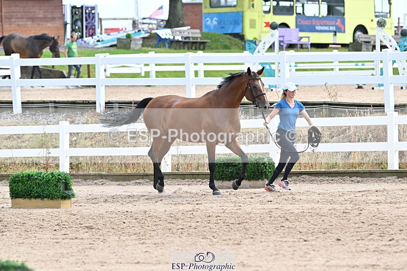 240717A-142836-02080 - Trot Up 2pm to 3pm - This folder is not in time order