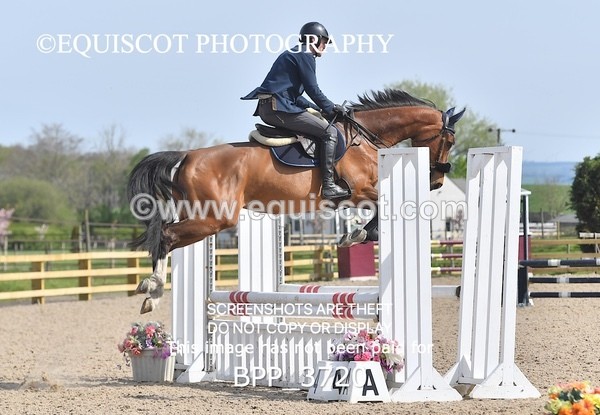 BPP_3720 - CLASS 2 Club/ Unaffiliated 80cms Open