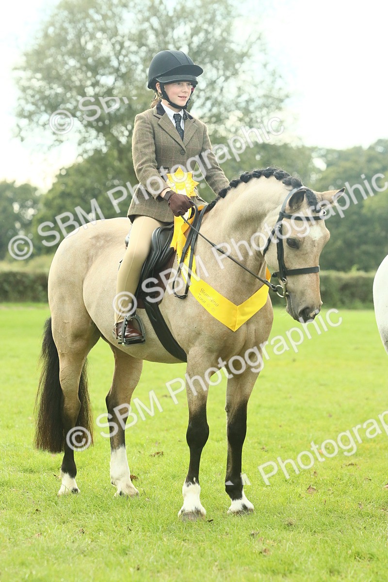 SBM_74125 - S 61 - Show Pony & Show Hunter Pony Ridden