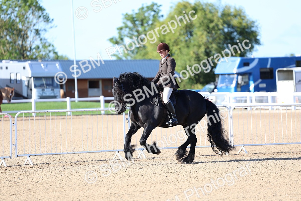 SBM_08797 - Class 302 - Ridden M&M - Large Breeds