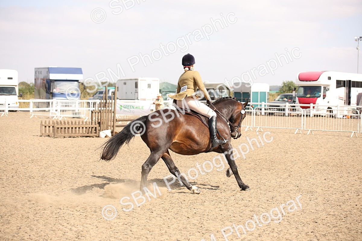 SBM_15063 - Class 408a - Working Veteran 70cm (15-19