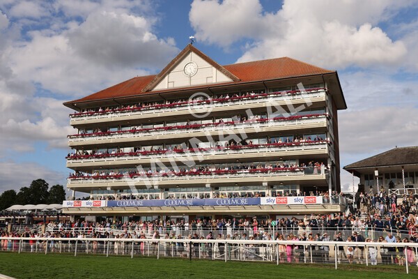 yr19082022r7-22 - Race 7 5.20pm Sky Bet Mile Stakes