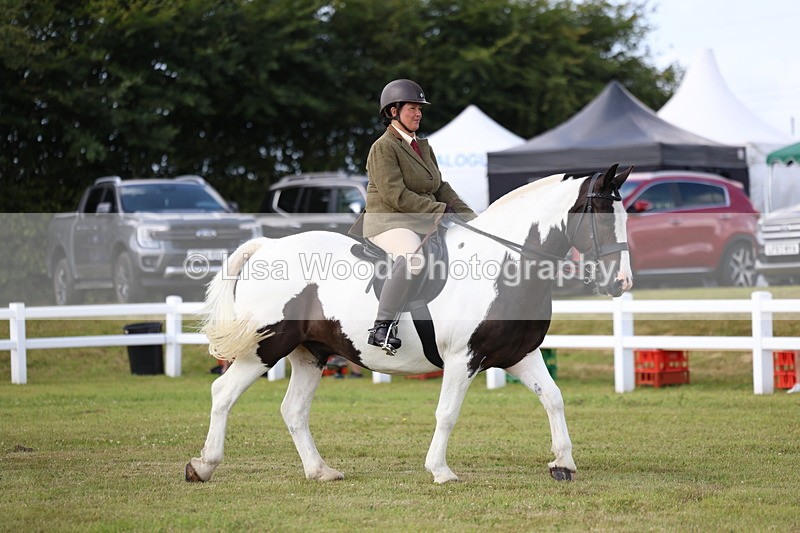 3E7A9616 - Class 5: Rising Star Lightweight/Heavyweight Cobs