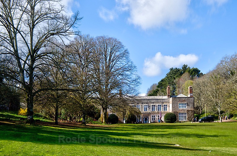 Cockington Court in spring - Cockington