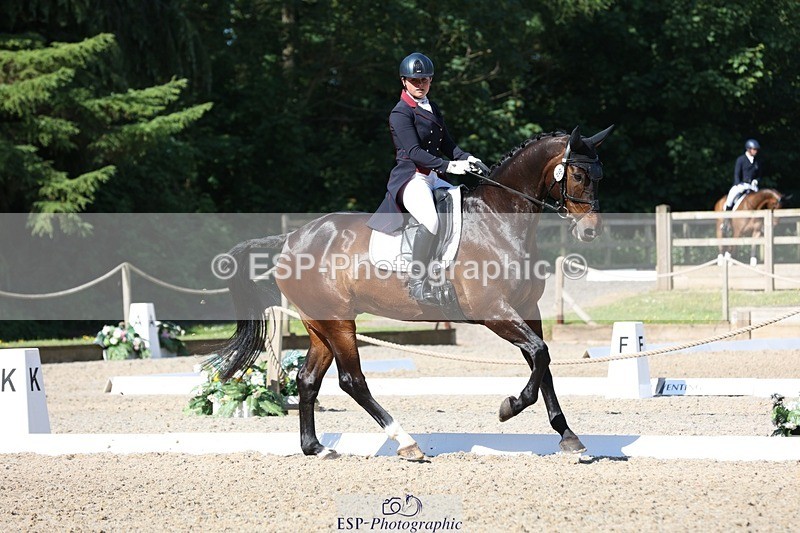 230526-094402-05148 - 357-VIVENDI_HERO-Saffron_Cresswell-WEDTrotUp+DR