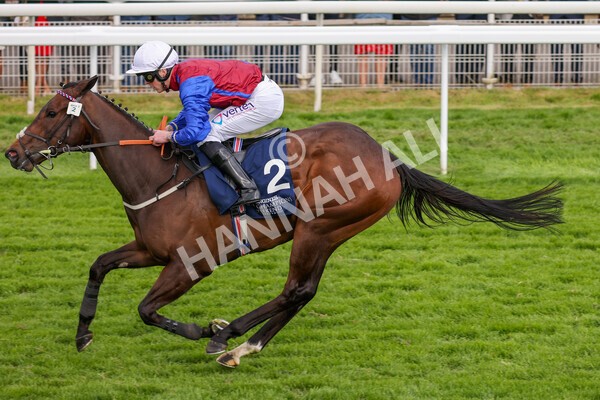 yr13052022r7-47 - Race 7 5.15pm Longines Irish Champions Weekend Stakes