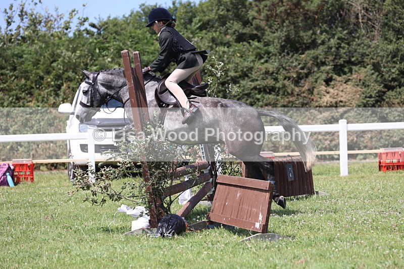 JPP_2611 - Class 21: Working Hunter 60cm