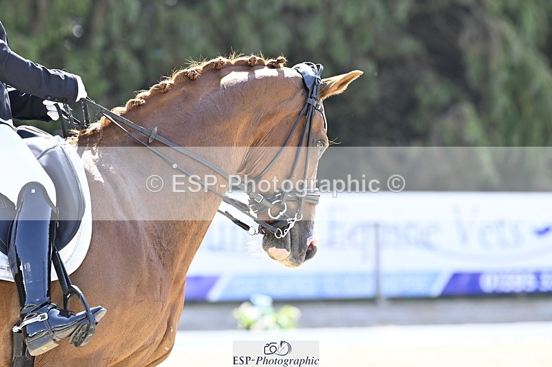 250810A-114340-05493 - 113-Stacey.EscrigJOIE.DE.VIVRE.III