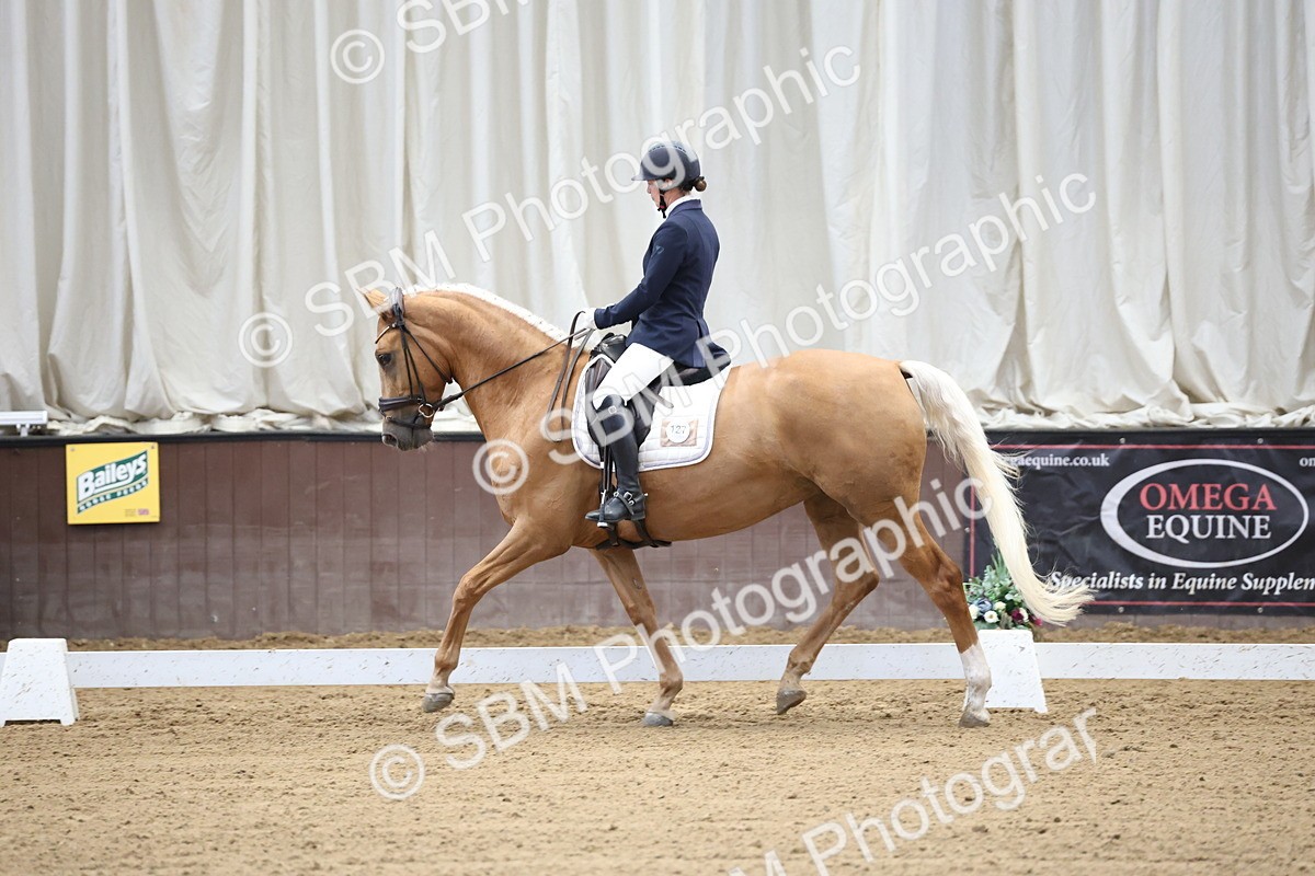 SBM_002066 - Class 5 - Novice 6 Gold - 9.00-10.10