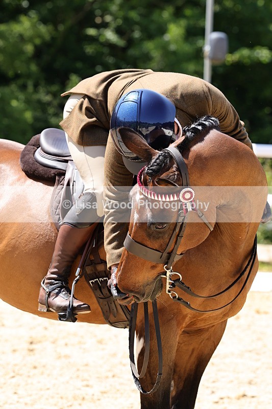 1X9A1912 - Class 12: Ridden Riding Horse/Hack