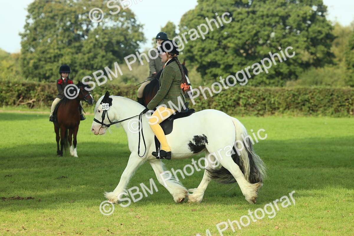 SBM_59885 - S38 - Starters Ridden Showing