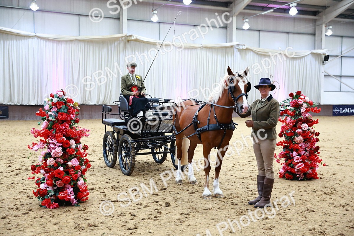 SBM_000687 - Class 11 - Peter Howell Memorial Gentlemen Whip