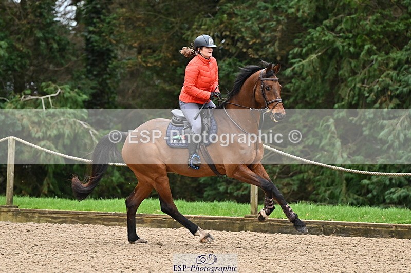 250201A-121808-00638 - Cls 02 Local Horse 100cm