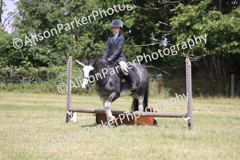 20260614-1971 - Class 21 - Novice Working Hunter Pony