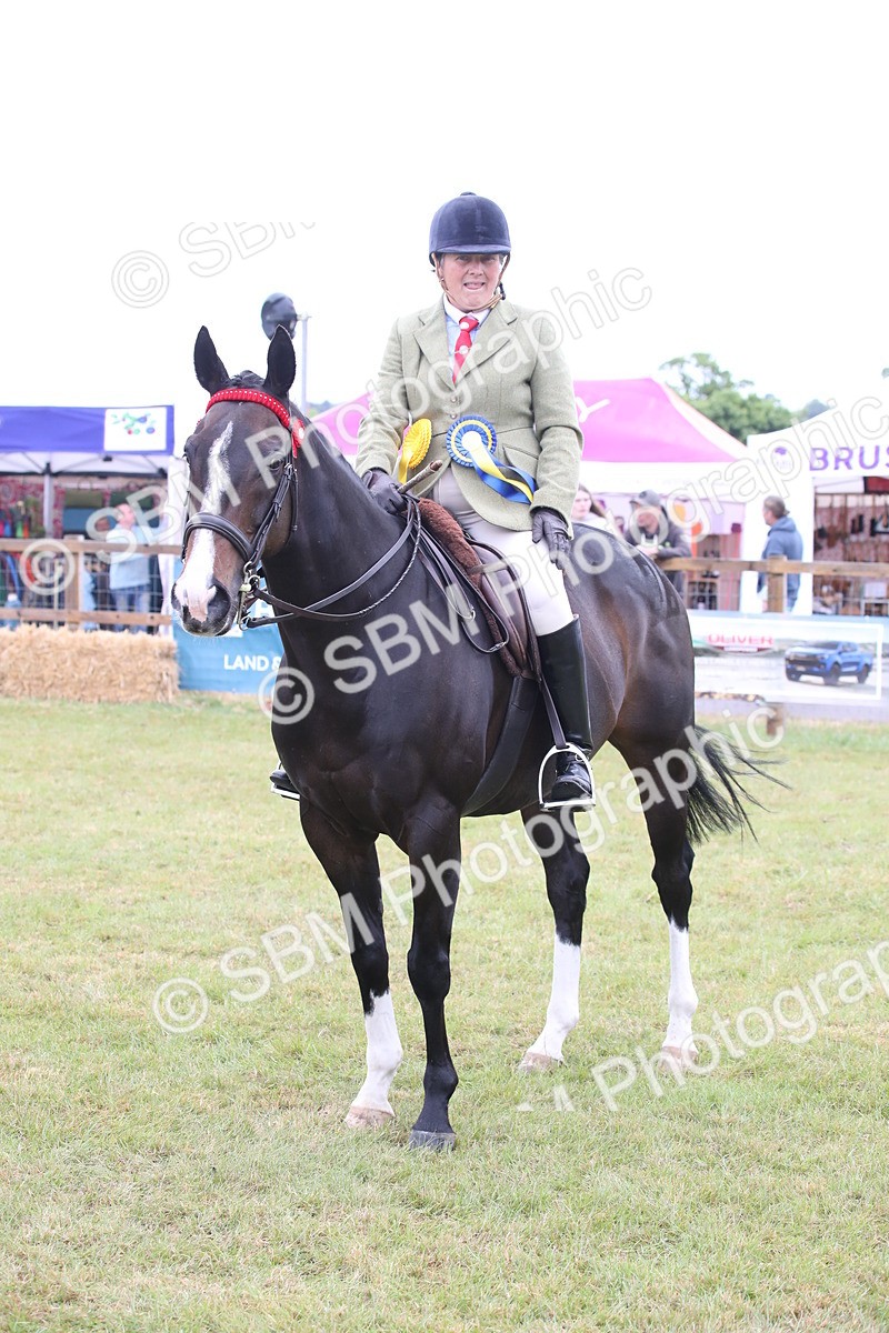 SBM_11470 - Class 94 - LIHS BSHA Racehorse to Showhorse