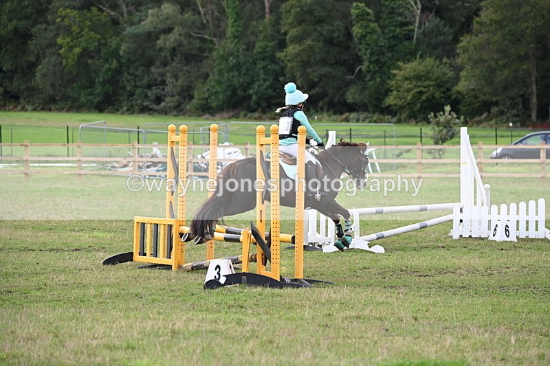 WJ6_1419 - 60cm Time 11:51 to 12:10