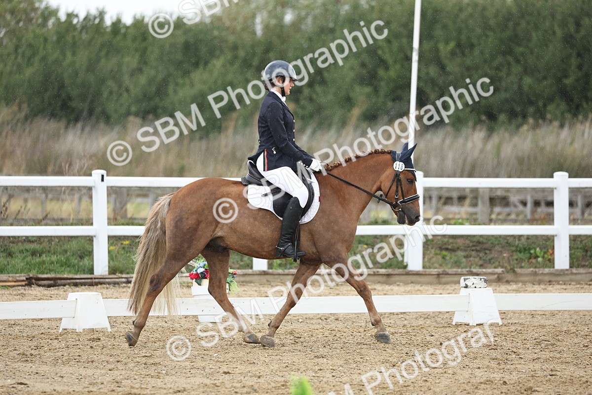SBM_004325 - Class 8 - Novice 3 Champs