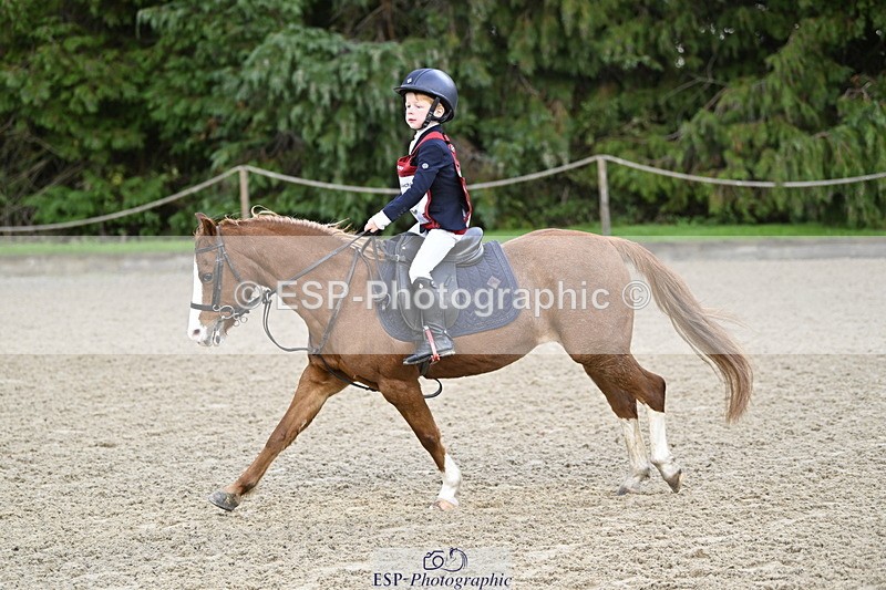 251005A-090820-02959 - Cls 02 GR 50cm