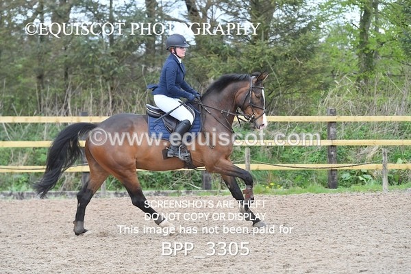 BPP_3305 - CLASS 14 SUN Senior BritiNovice/ 90cm Open