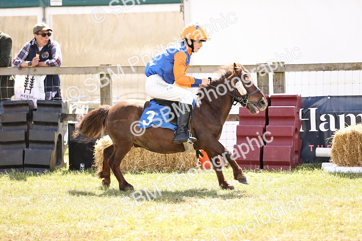 SBM_16789 - Dinky Derby