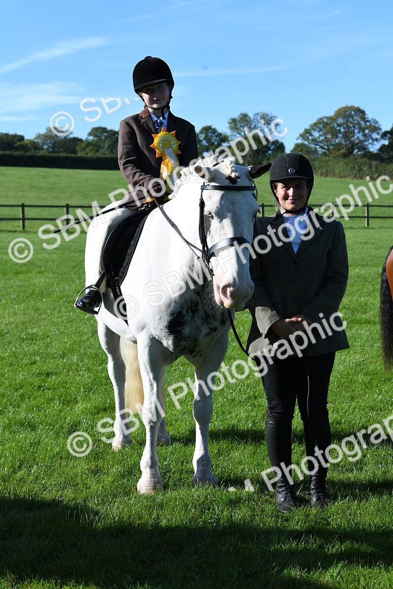 SBM_35480 - S17 - Condition & Turnout - Lead Rein