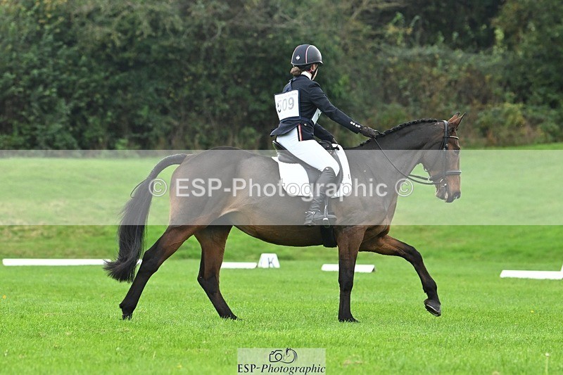 241024-114506-03305 - 509-Tichy.Sanders-SPARHANGER.VELVET