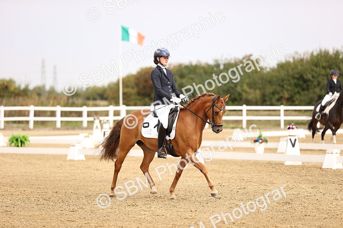 SBM_011686_Class 1 - Medium 5 - Avery