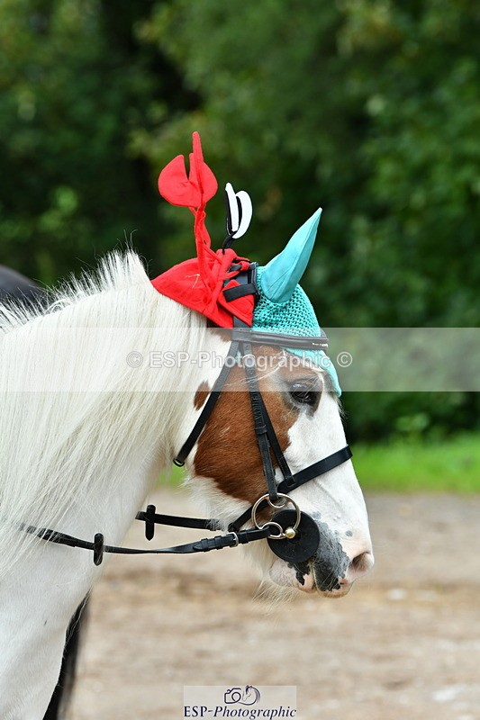 230804A-101254-01876 - Musical Ride