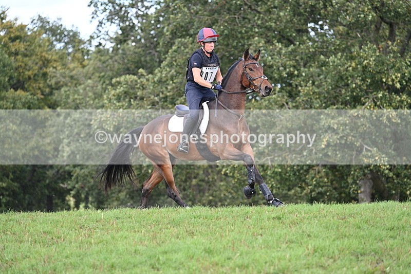 WJ7_2325 - Time 13:55 to 14:05