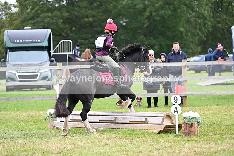 WJ7_7334 - 40cm Time 10:06 to 10:24