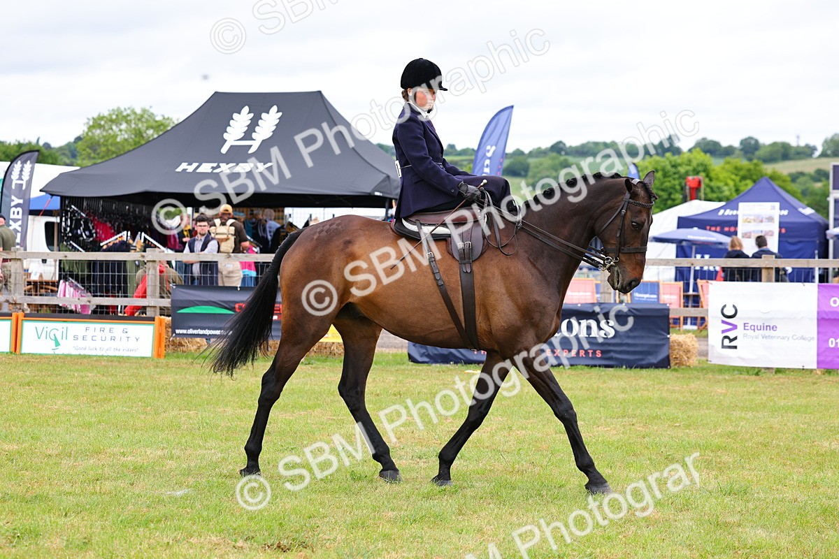 SBM_02807 - Class 9-11 Side Saddle including LIHS Rising Star Ladies Show Horse