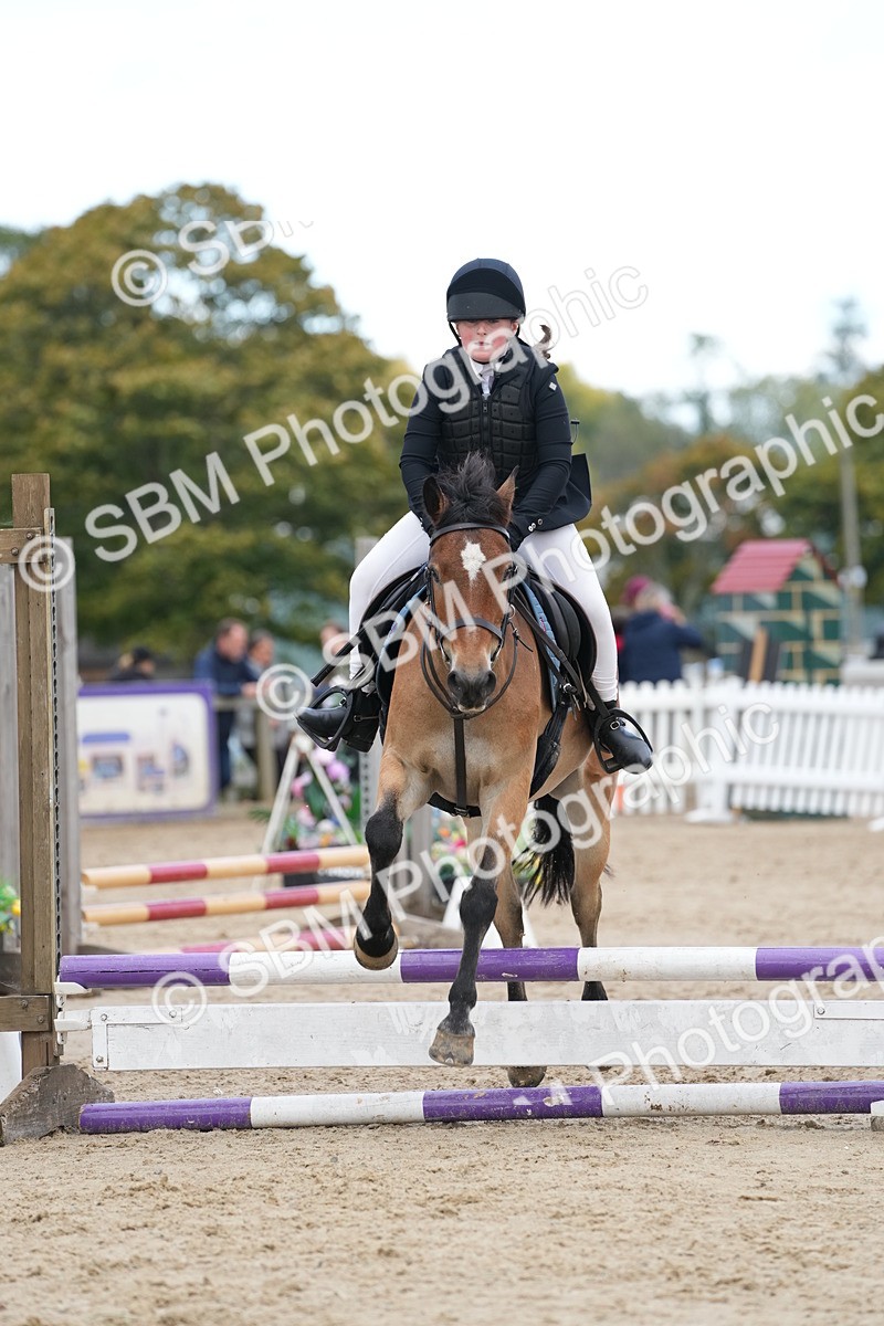 SBM_20691 - J49 - Open 50cm