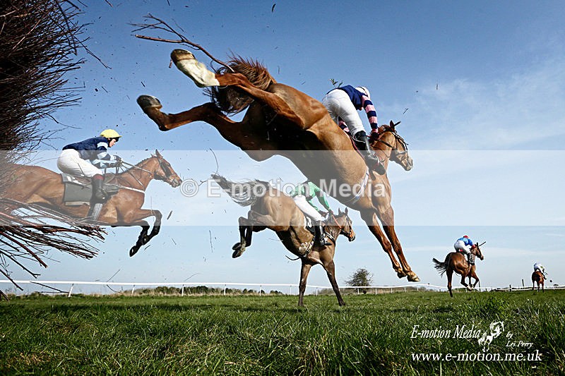 PtP 290314 379a - Equestrian