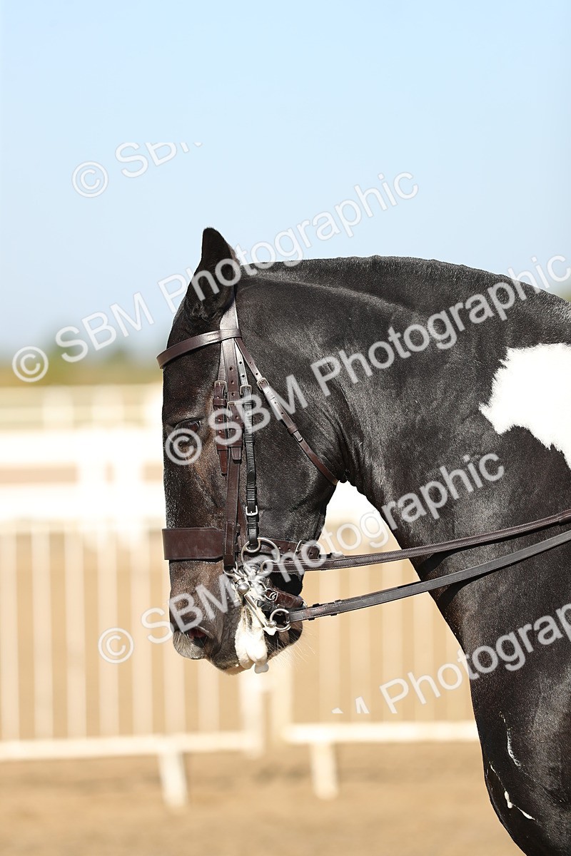 SBM_01183 - Class 42 Ridden Veteran