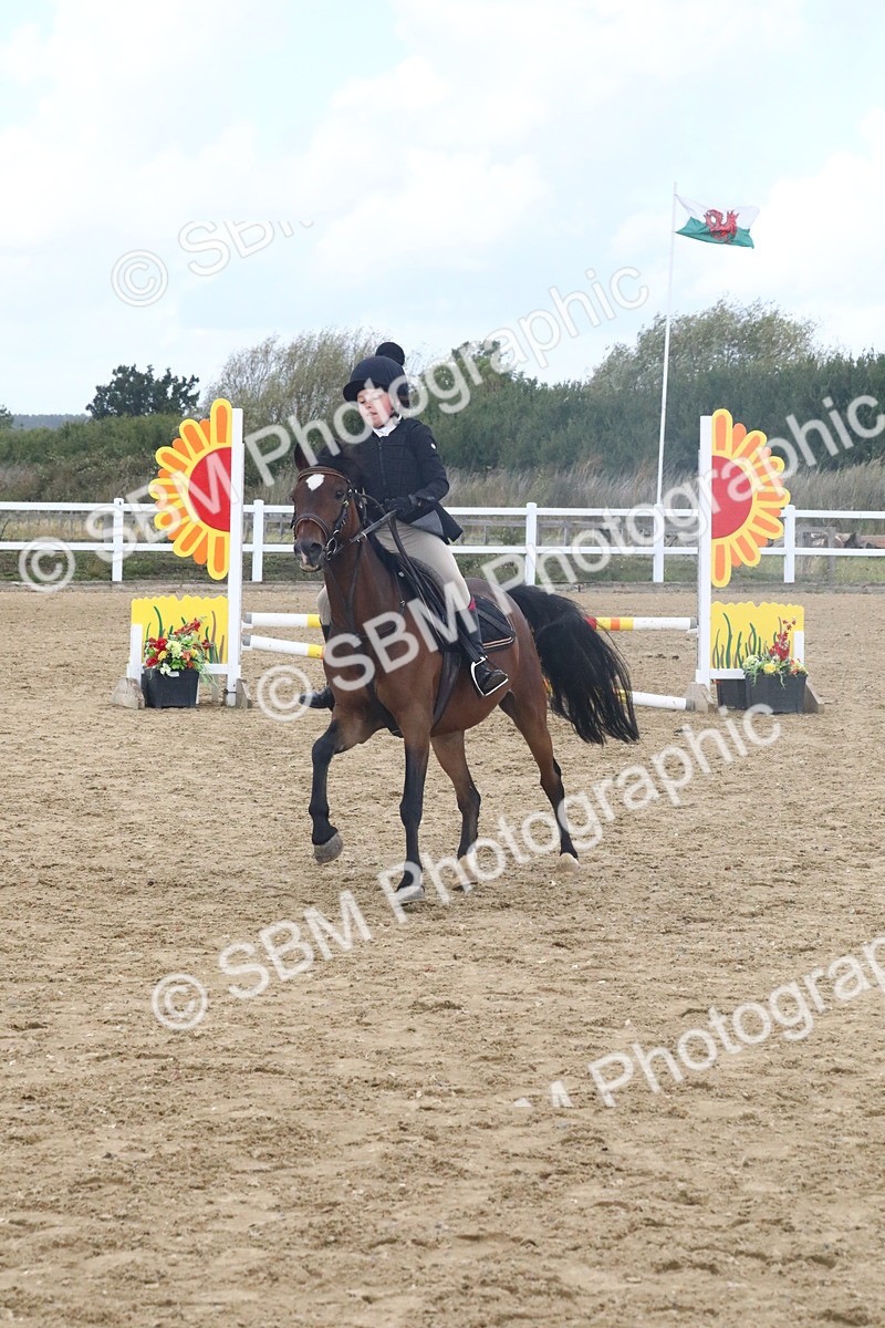 SBM_006117 - Class 6 - 60cm Champs